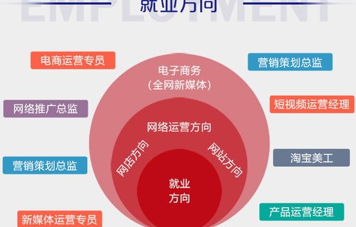 专业电子商务是什么类