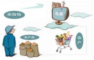 电子商务的专业化