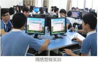学完电子商务专业出来