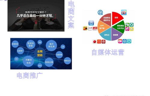电子商务技术应用专业描述
