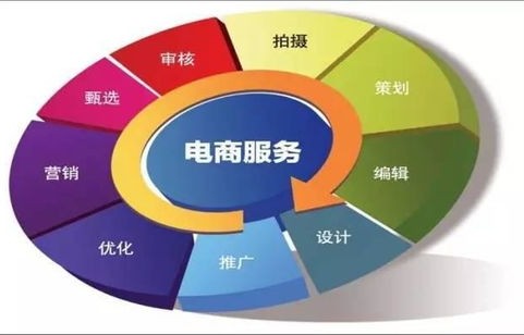 电子商务专业技能大全