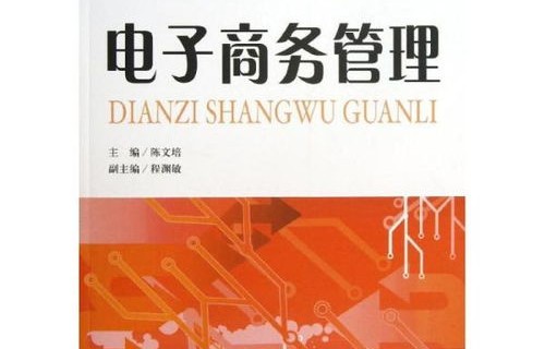 对电子商务专业的计划
