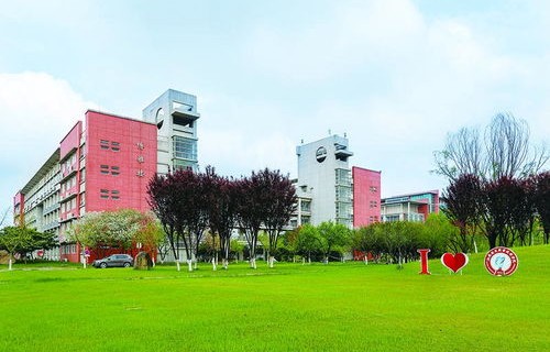 成都电子商务专业大学