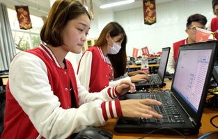 电子商务专业服装行业