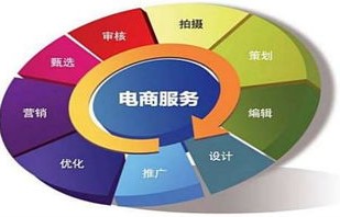 电子商务单招专业题