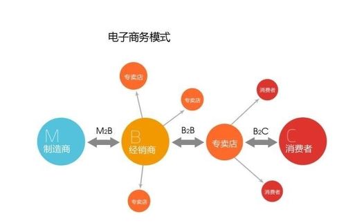 电子商务专业运营类目