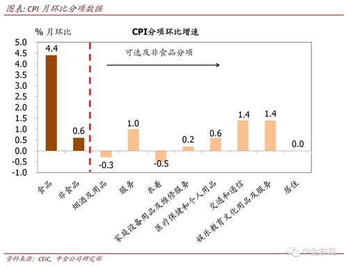 2024年全年CPI上涨0.2%，稳健的物价走势与经济稳定发展的新迹象