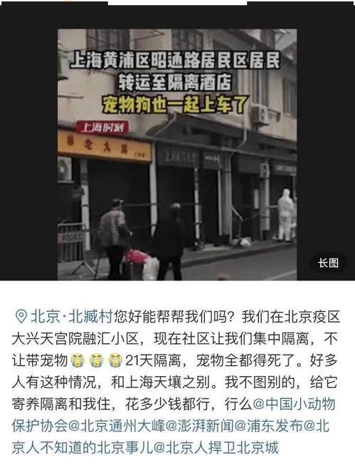 浙江间谍拍照事件，意外被全程监控，揭秘现代城市安全防范