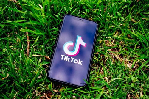 TikTok恢复服务，美国网友激动不已