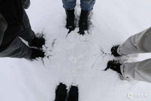 河南局部地区遭遇罕见暴雪，雪量超20毫米的天气影响分析