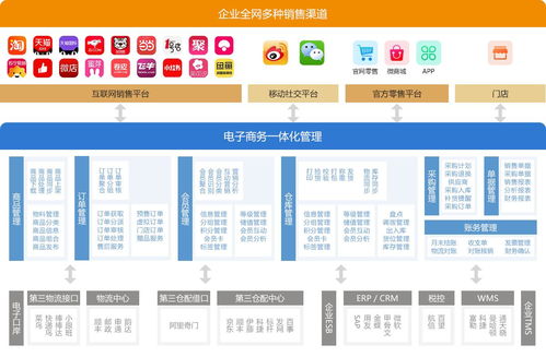 电子商务中专业专业名词