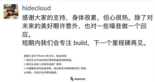 炸醒整个AI圈的Manus先“炸伤”自己