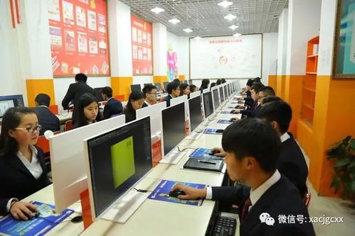 电子商务专科专业女生
