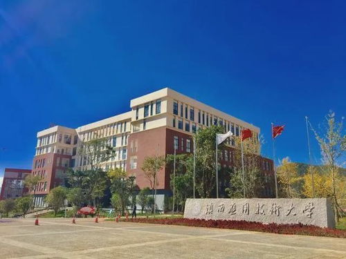 济光学院电子商务专业