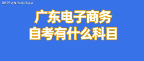 电子商务能考研哪些专业