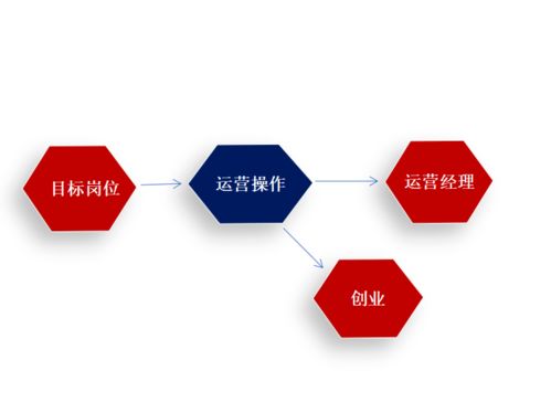 跨国电子商务是什么专业